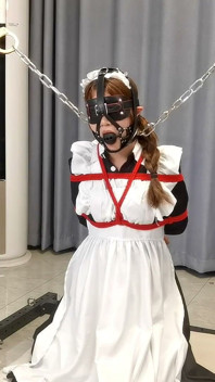 The Maid's Various Restraints