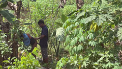 Amateur Teen Studio: Fii rapid astfel încât nimeni nu ne va prinde (în culise)