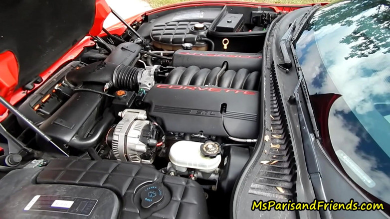 Ms Paris and Friends: Corvette revvette bekommt ihren motor heiß
