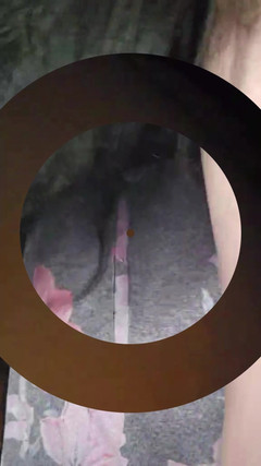 Raven Willow: Kompilasi yang bau