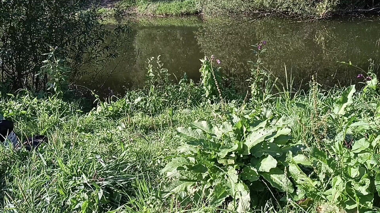 kickerscooter: Nakenstrand