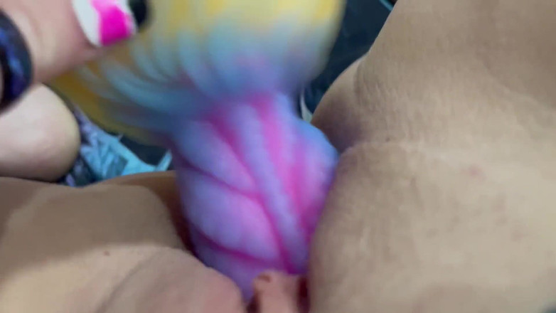 RoxxyReed: Bläckfisk