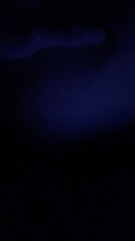 Sexy Boyfriend and Cute Ftm Having Fun