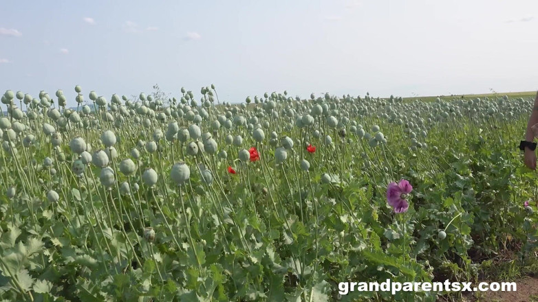 Grandparents X: Sexo ao ar livre com casal mais velho