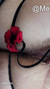 Red & Delicious Toys Still Slideshow
