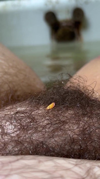 Bobbing for Bush
