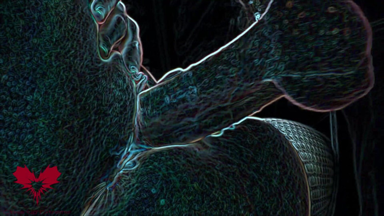 Close Up Extreme: Âm hộ satanic làm tình trên swing tình dục. Xuất...