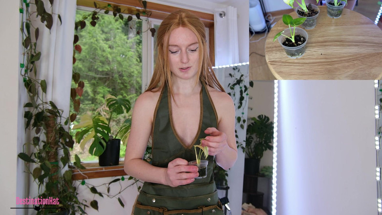 Destination Kat: Ogrodniczy z Kat- Repotting Monsteras Sfw