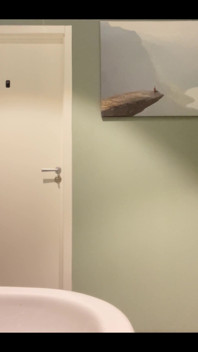 The Real Purpose of a Public Toilet.