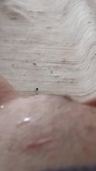 Squirting