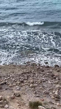 Vlog Lissa Brown Vai a uma Praia Nudista Para Filmar Um Vídeo Personalizado