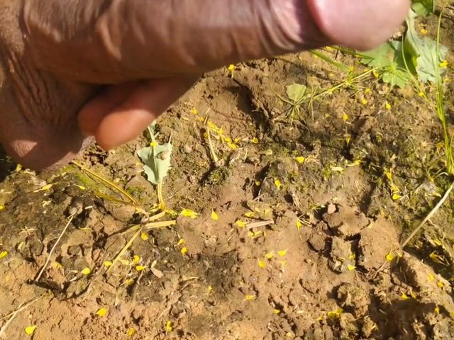 Rich in Size Desi Dick Outdoor Sex Girlfriend (Jazzs)