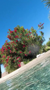 Diversão interracial lésbica quente na piscina