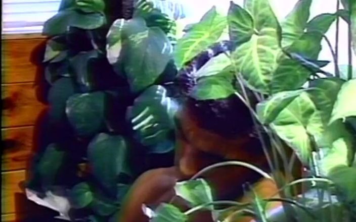 Gay RetroX VHS: Смілива чоловіча симфонія No3