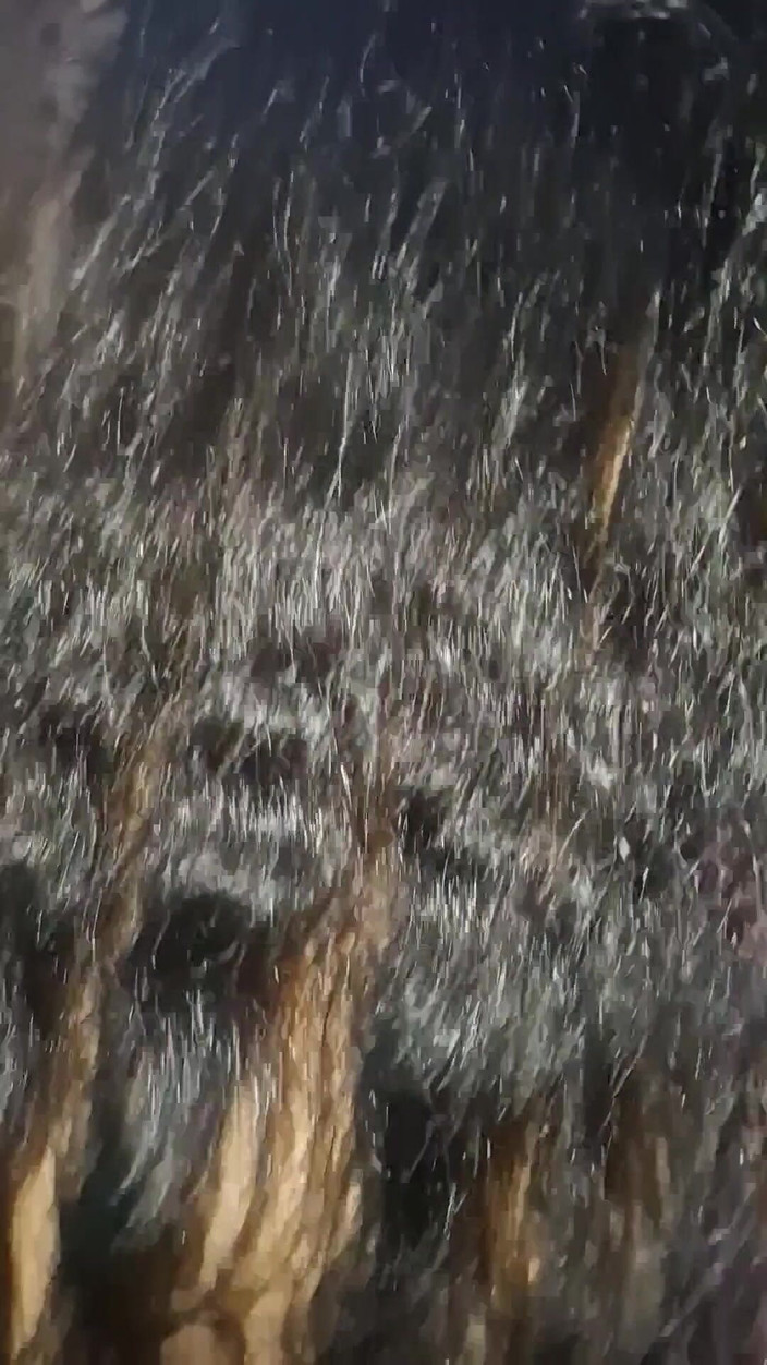 horneySonu: Cachonda Sonu dedo y hablando sucio