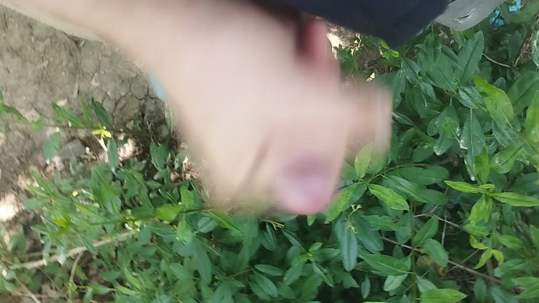 Bayer911: Bayer – saya Forst Only The End dan The Cum