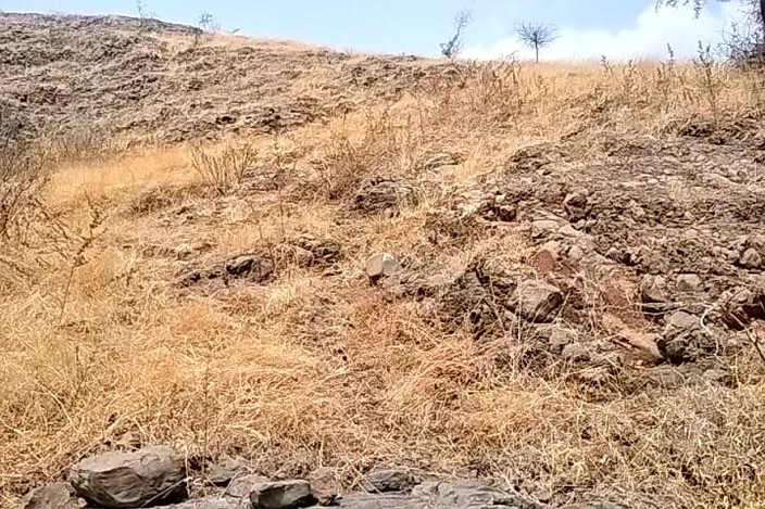 FrozenOpenair8: Bm Genialny