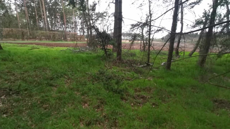 Bouncy Tits Action: Crushing tetek keras