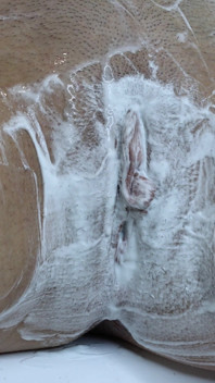 Extreme Closeup of Hairy Tight Pussy Shaving