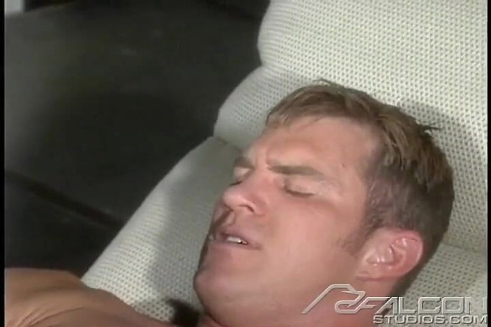 Falcon Studios: Sprung