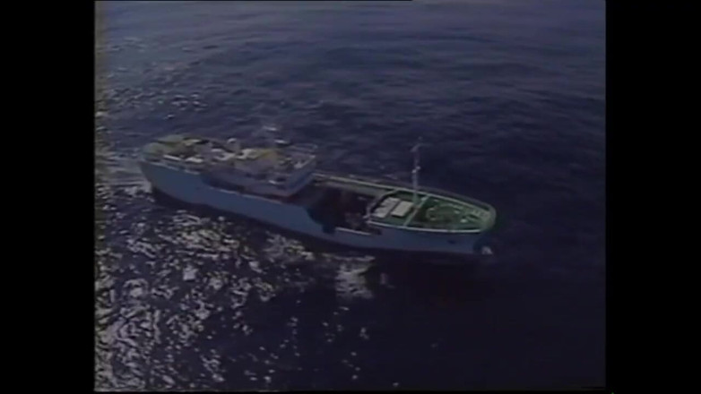 MMV TV - our best full movie: Een poesje Delisioza