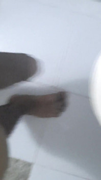 Honění děvky