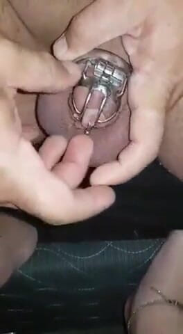 Sissy cumslut: 如何做阿尔伯特王子穿孔