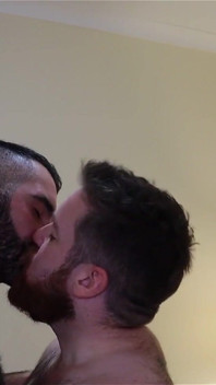 Bears Kissing