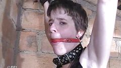 House of lords and mistresses in the spanking zone: 奇怪的文件 20