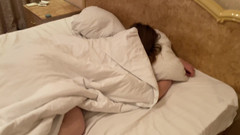 MilkyWay: Sabahları sıkı ateşlimle uyanmayı seviyorum! Büyük götlü orta yaşlı seksi...