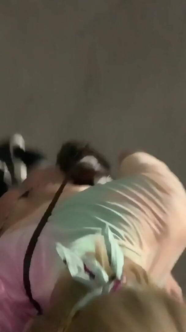 CindieLove: Banci luar 2 seluar pendek yoga si jalang, t-shirt ish panjang...