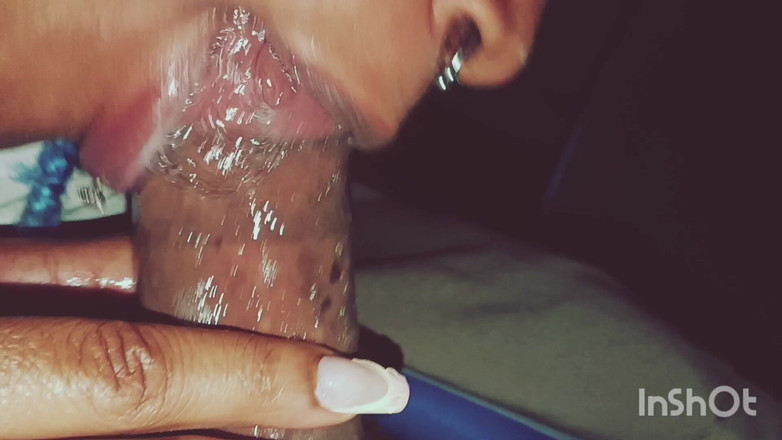 The Nasty House: The Throat Chronicles, vol. 1