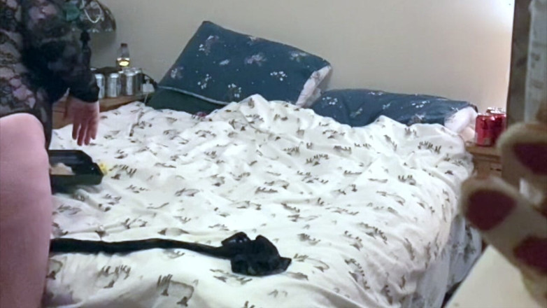 Frequentmasturbation: Ela gosta de deixar os trabalhadores assistirem pela janela enquanto...