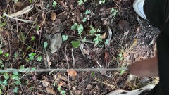 Fratchino: Tento ch chlap vytáhne ptáka a chčije