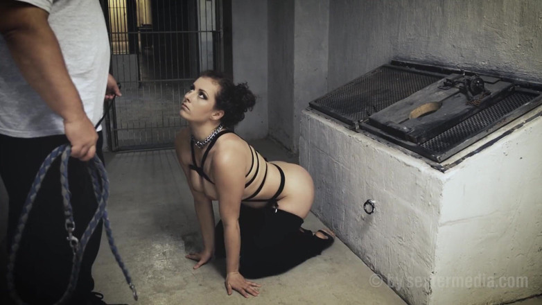 Fetisch by Sextermedia: Evcil hayvan - domaltma gösterisi