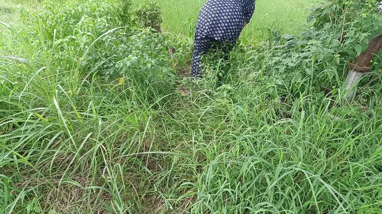 MHM: Outdoor Sex Videos Best Seen