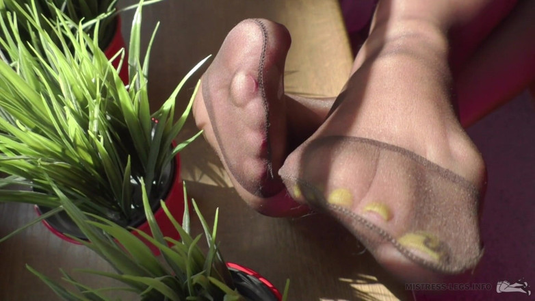 Mistress Legs: Paní nylonové nohy u okna