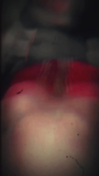 Simply Ass Fuck
