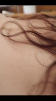 一只小猫炫耀她的猫咪