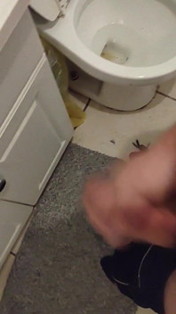 Cumming in the Bathroom