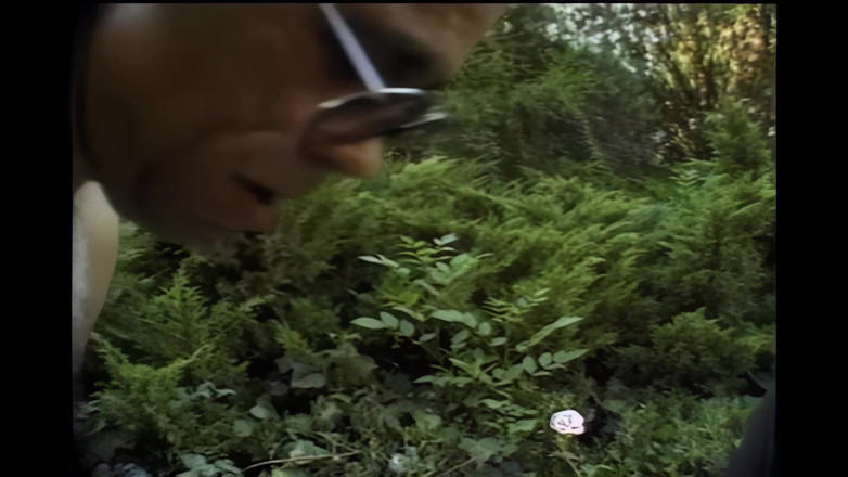 My porn family: Красива вагітна чорношкіра дівчина