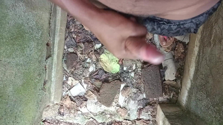 LinearOrnament35: Tamil tia fodida duro por vizinho