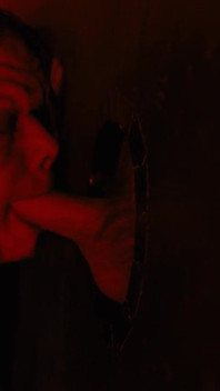 Il Piccolo Negozio Del Terrore Con Dana Vespoli