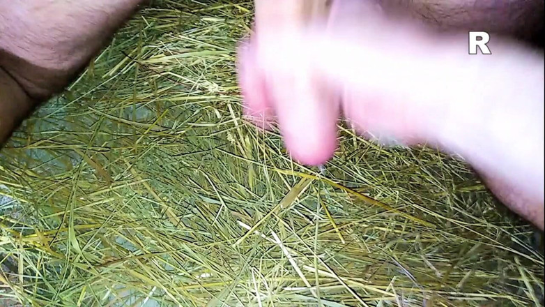 Master Drex: Kompilacja wytrysków 9_2021