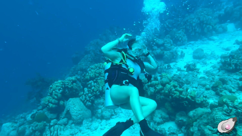 Mistress Pink Pearl: Tempo sozinho em Bonaire