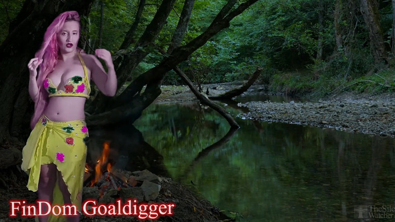 FinDom Goaldigger: Cum control