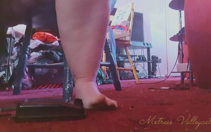 Mxtress Valleycat: 用一个老的bakelite踏板赤脚缝纫