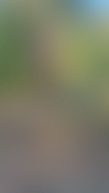 Locked due to age restriction