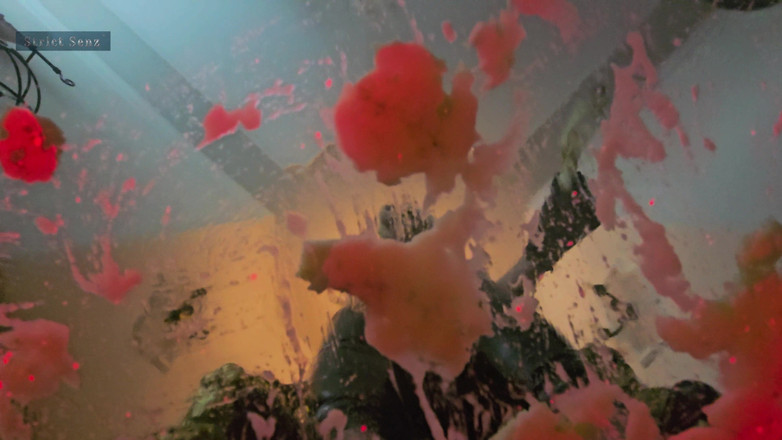 Strict Senz: シーラ・シナーがジャイアンテスがバナナを押しつぶす視点