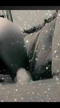 Who Doesn't Love a Good Ass Tease?